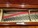 Magnificent F. Linke Steinway & Sons "Barber of - 17