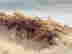item-108086531=6