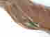 item-131527577=5