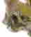 item-131527643=4