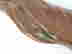 item-132049215=5