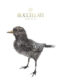 M. Buccellati (204g) Sterling Silver Bird Figurine