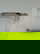 item-208737040=16