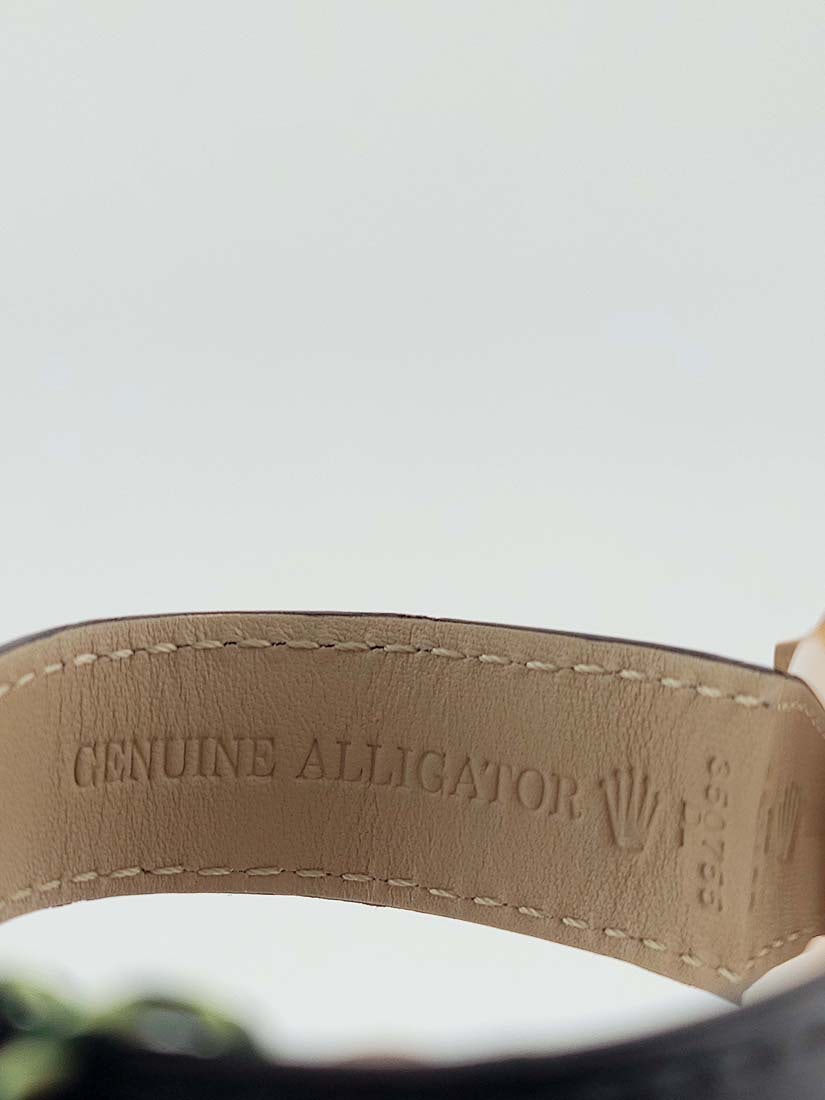 Rolex Cellini Dual Time (50525) Unworn Complete Set - 7