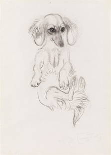 Ludwig Heinrich Jungnickel: Dachshund: Ludwig Heinrich Jungnickel Dachshund black chalk on paper 33,2 x 24 cm estate stamp on the reverse from the estate of the artist; private property, Germany