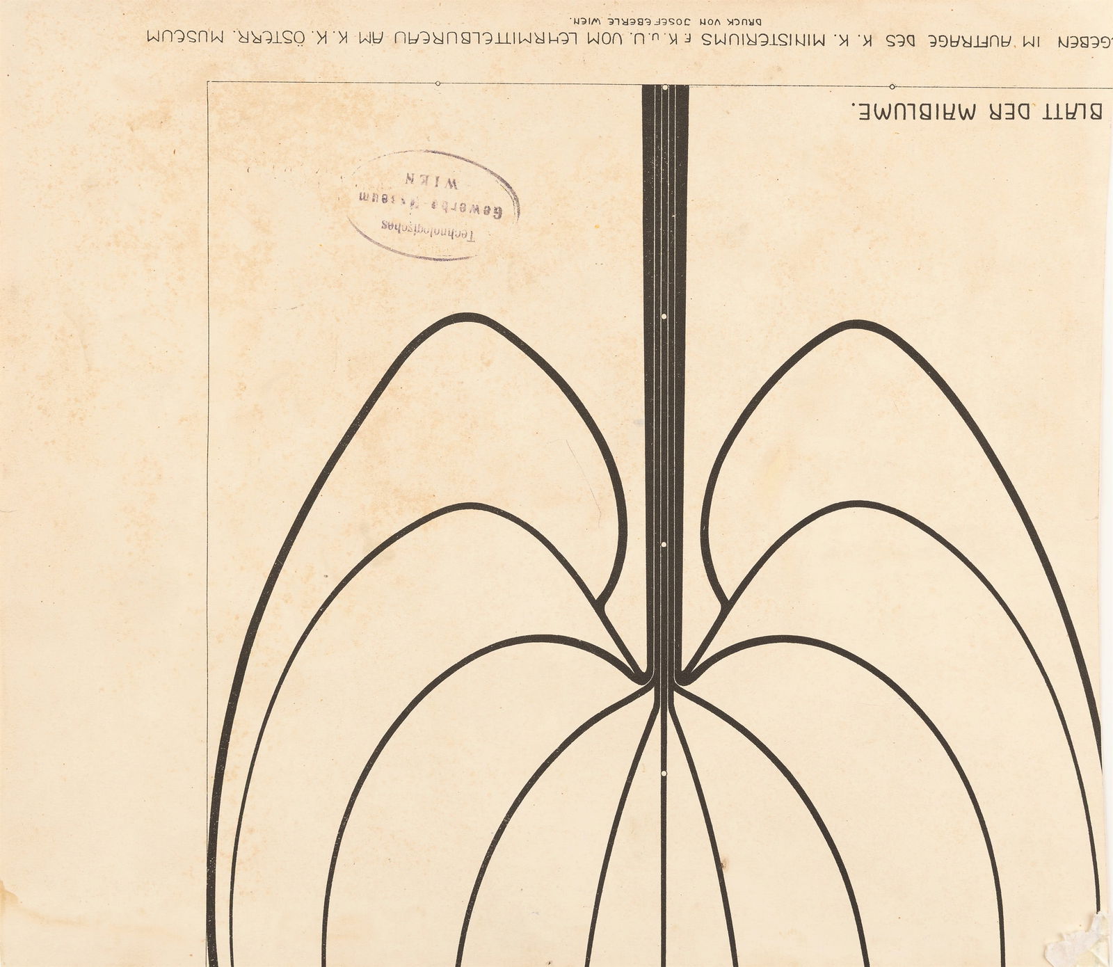 Carl Fahringer: Studienblatt - 3
