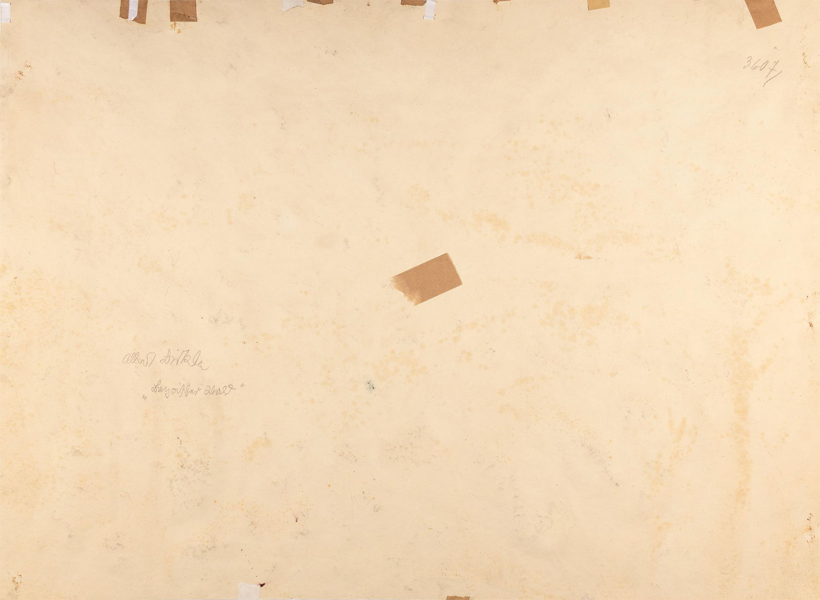 Albert Birkle: Winter im Bayrischen Wald III - 2