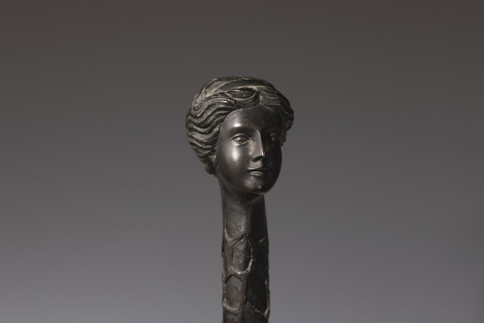 Salvador Dalí: Venus à la Girafe - 5