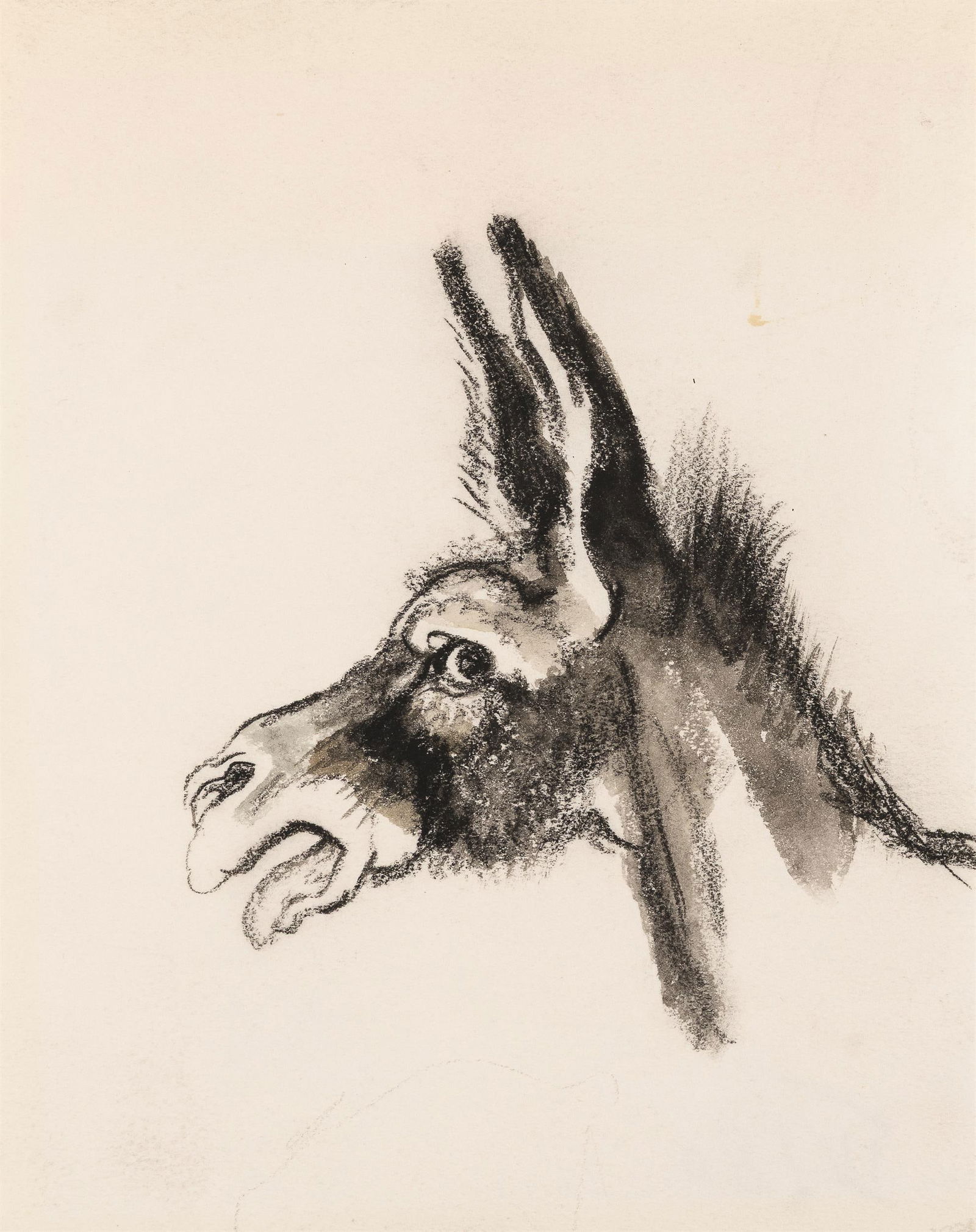 Ludwig Heinrich Jungnickel: Eselskopf: Ludwig Heinrich Jungnickel Eselskopf Mischtechnik auf Papier; gerahmt 19,5 x 16 cm Nachlass-Stempel rückseitig (verblasst) aus dem Nachlass des Künstler (Stempel rückseitig); öster