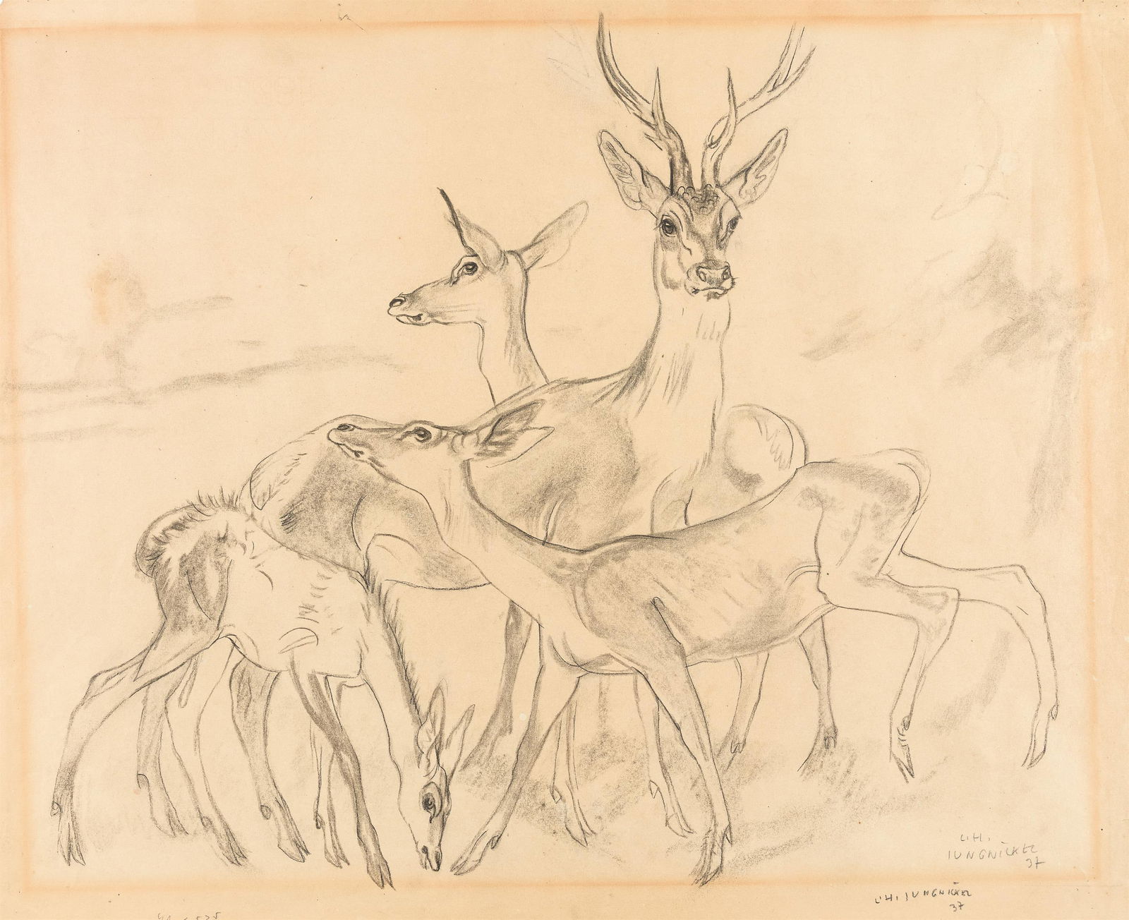 Ludwig Heinrich Jungnickel: Rehfamilie: Ludwig Heinrich Jungnickel Rehfamilie 1937 Kohle auf Papier; gerahmt 44,5 x 55 cm Zweifach signiert und datiert rechts unten (einmal vom Passepartout verdeckt): L. H. / Jungnickel / 37 sowie L. H. Jun