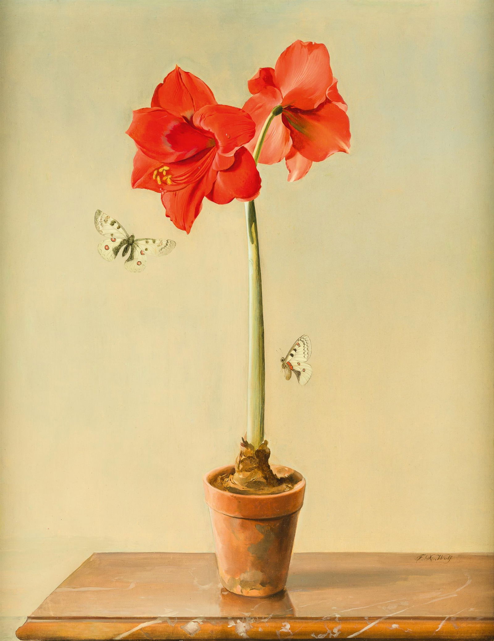 Franz Xaver Wolf: Amaryllis: Franz Xaver Wolf Amaryllis Öl auf Holz; gerahmt 60 x 47 cm Signiert rechts unten: F. X. Wolf Rückseitig Künstleretikett mit Bezeichnung österreichischer Privatbesitz; Auktionshaus