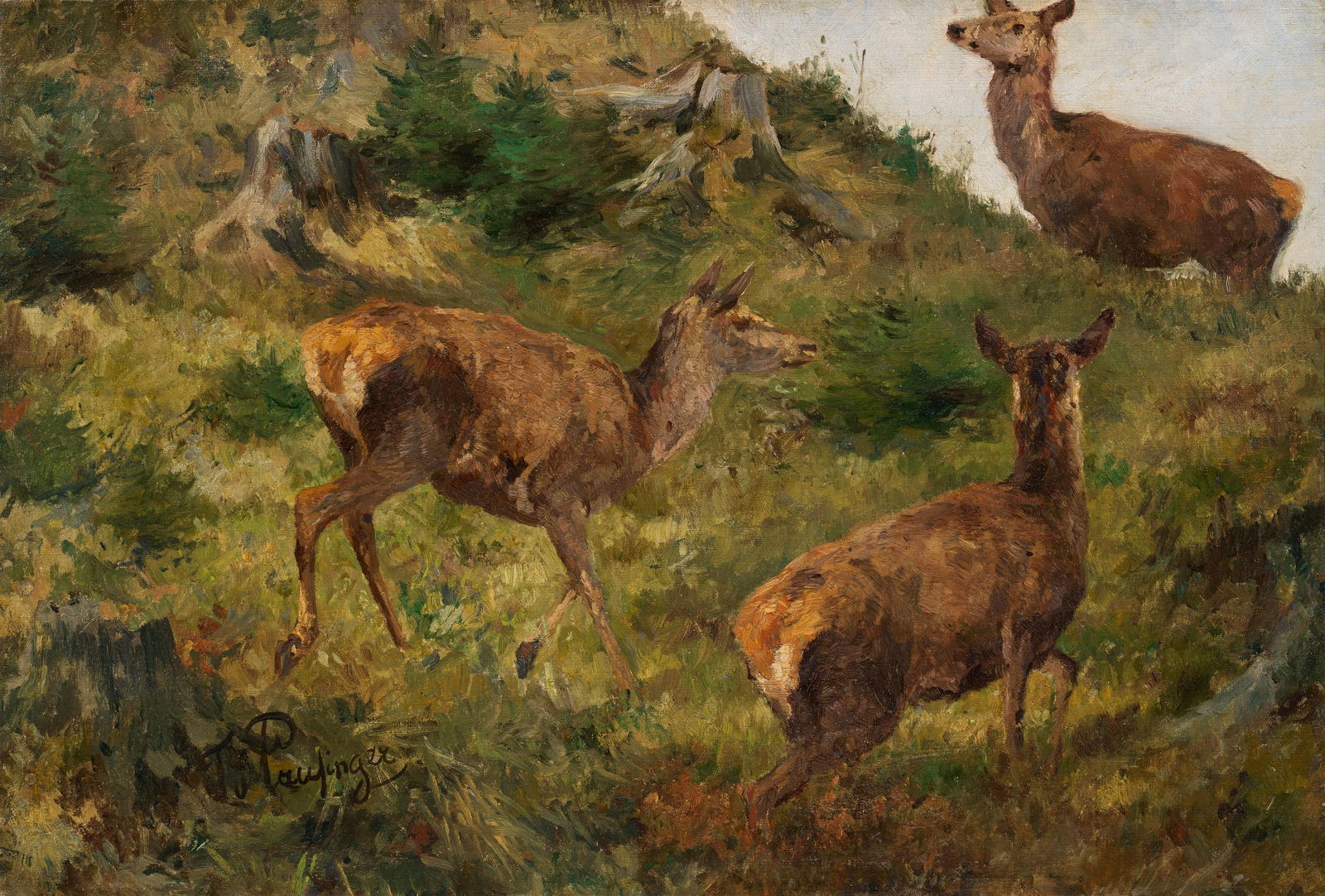 Franz X. von Pausinger : Drei Hirschkühe: Franz X. von Pausinger Drei Hirschkühe Öl auf Leinwand; gerahmt 54 x 79,5 cm Signiert links unten: F v Pausiger österreichischer Privatbesitz Franz X. von Pausinger Three Deer oil