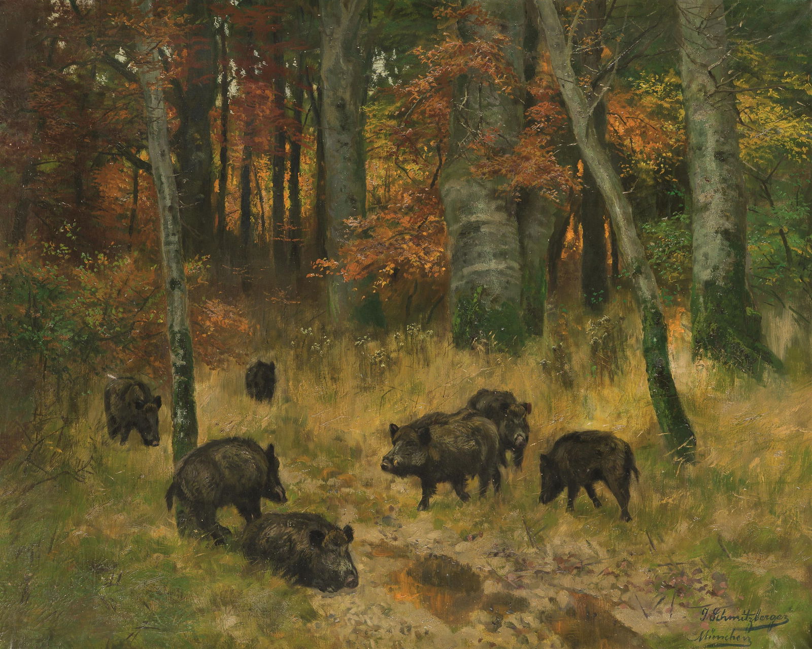 Josef Schmitzberger: Wildschweine im Herbstwald: Josef Schmitzberger Wildschweine im Herbstwald Öl auf Leinwand; gerahmt 81,5 x 100 cm Signiert und bezeichnet rechts unten: Josef Schmitzberger / München Privatbesitz, Österreich 