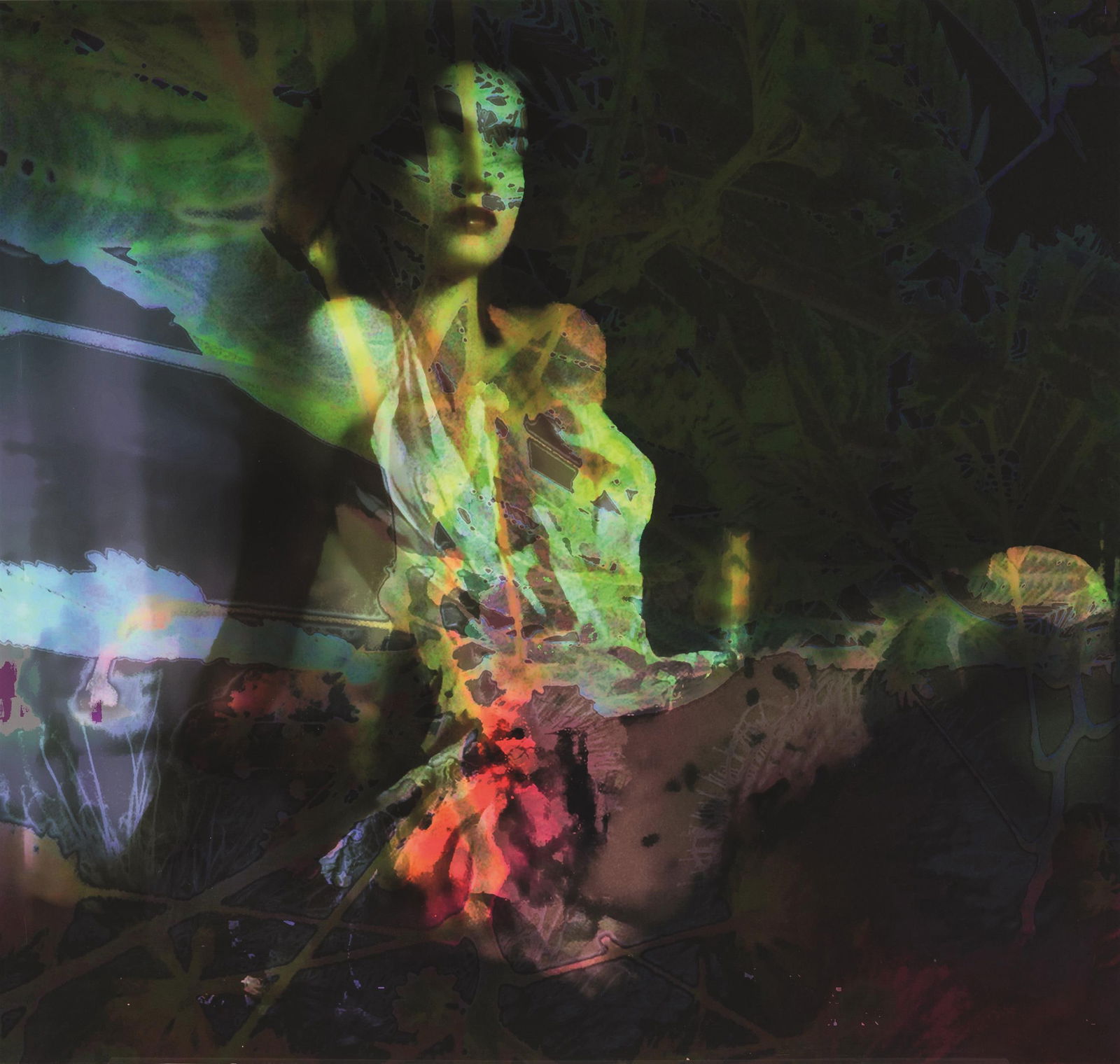 Jeanne Szilit: Mortal Systems, Flowersuites No 2: Jeanne Szilit Mortal Systems, Flowersuites No 2 2015 C-Print, Acryl auf Aludibond; ungerahmt 85 x 90 cm Rückseitig signiert, datiert, bezeichnet und nummeriert: Jeanne Szilit, 2015, Mortal