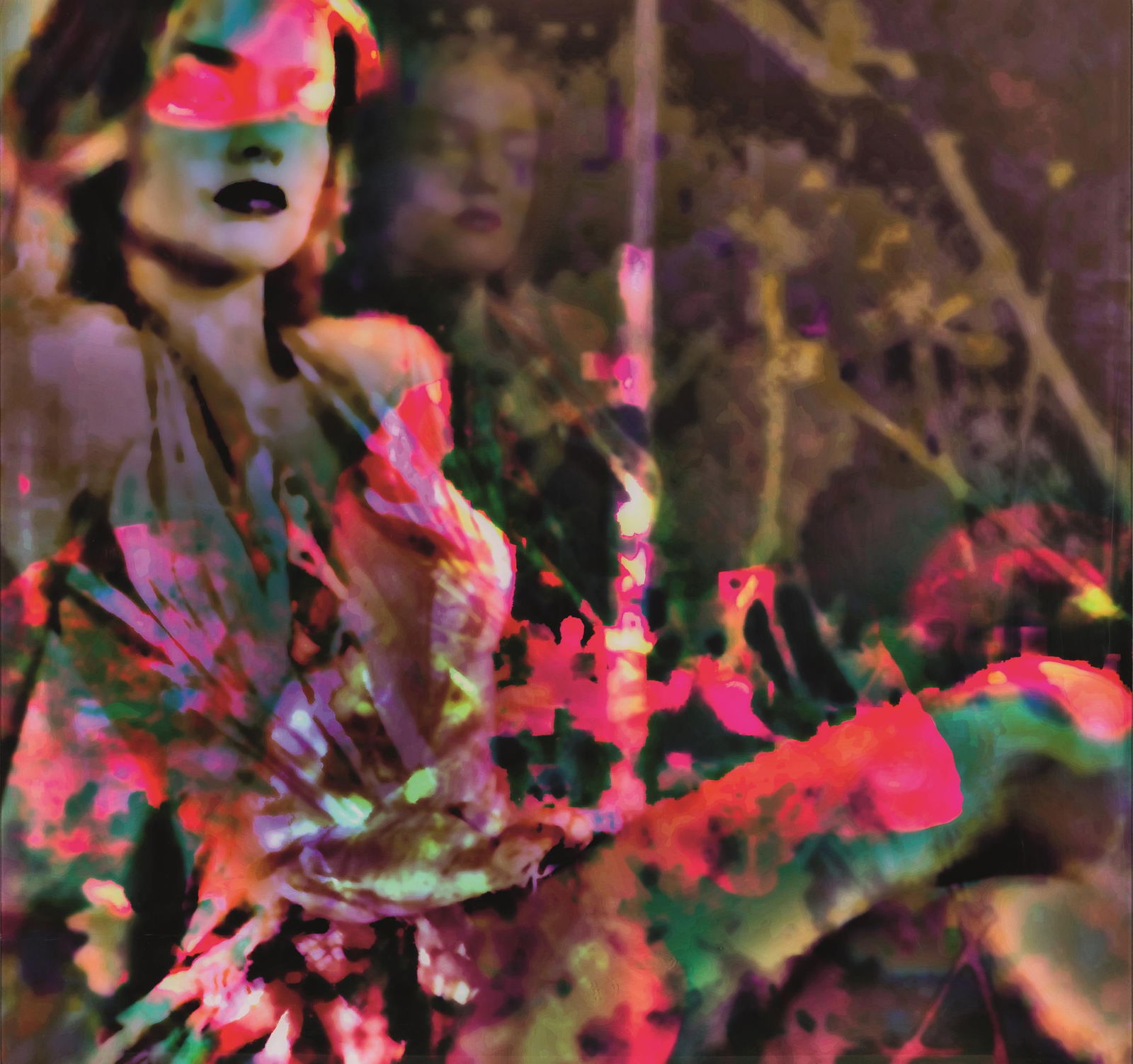 Jeanne Szilit: Mortal Systems, Flowersuites No. 9: Jeanne Szilit Mortal Systems, Flowersuites No. 9 2015 C-Print, Acryl auf Aludibond; ungerahmt 85 x 90 cm Rückseitig signiert, datiert, bezeichnet und nummeriert: Jeanne Szilit, 2015, Mortal