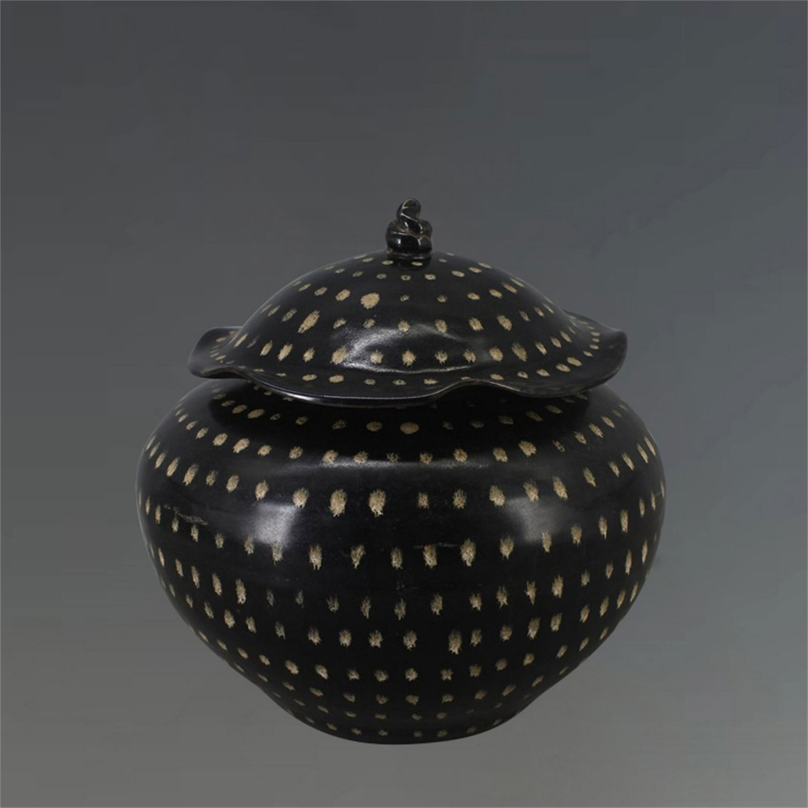 A Chinese Jizhou-Type Black Glazed Porcelain Jar with (1 of 9)