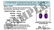 Certified .36 CTW Genuine Blue Sapphire And Diamond (G- - 2