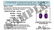 Certified 14k White Gold Oval Amethyst Earrings 0.68 CT - 2