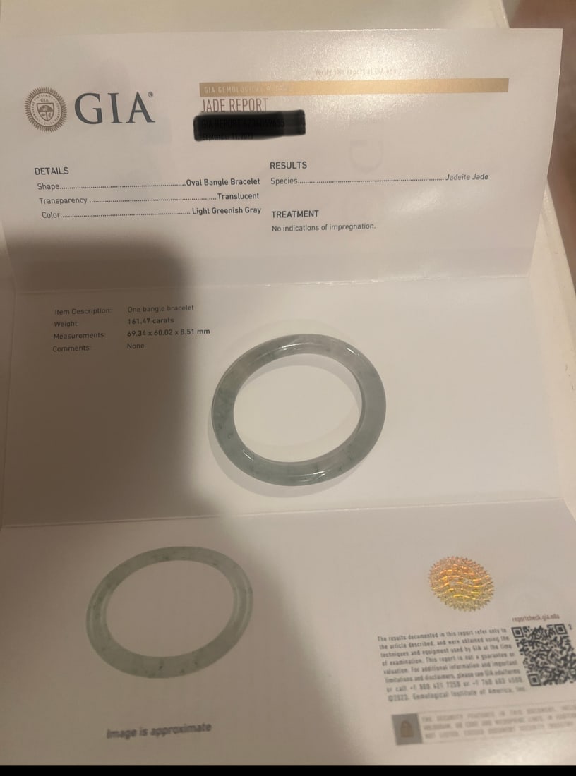 GIA Certified Natural (No Treatment) Light Green Jadeite Jade Bangle (1 of 2)