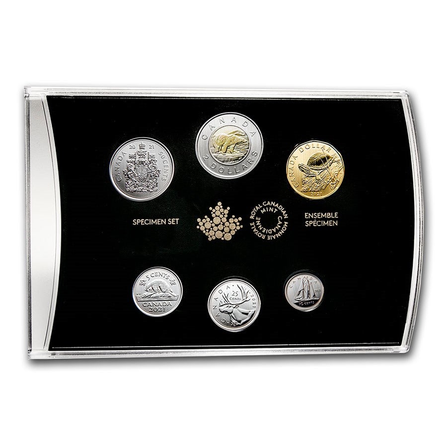 2021 Canada Specimen Set: Blanding s Turtle (1 of 1)