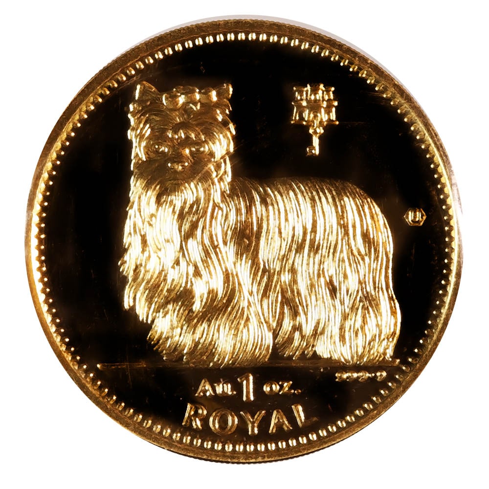 Gibraltar One Royal Gold 1997 Yorkshire Terrier (1 of 1)