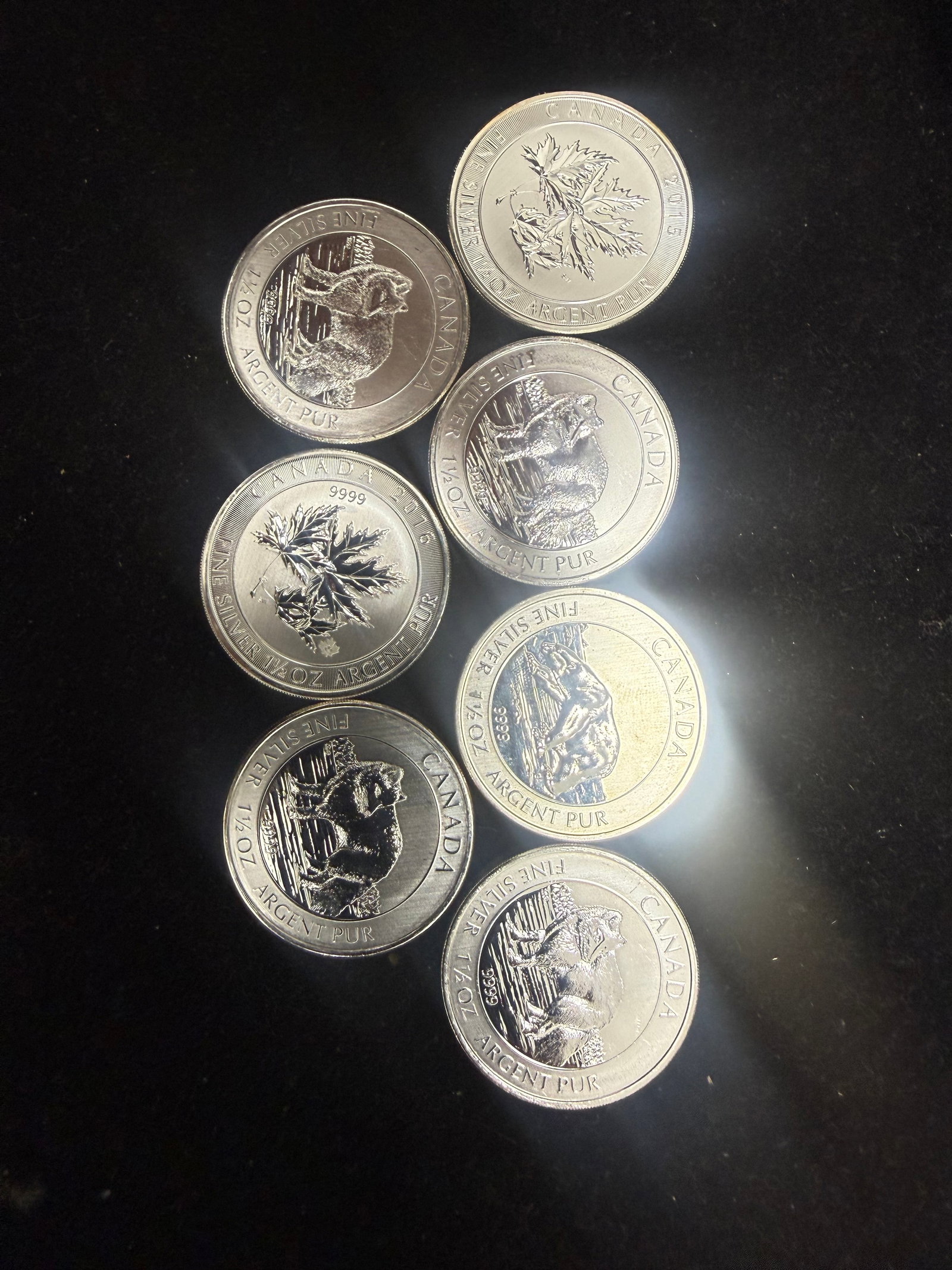 Mixed Lot Of Varying Canada Mint Pure Silver 1.5 ounce Round Coins .999 7 p
