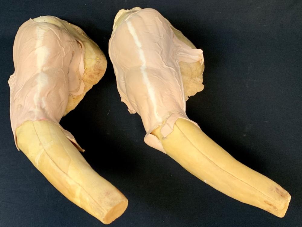 Underworld: Evolution (2006) - Pair of Michael "Scott: Underworld: Evolution (2006) - Pair of Michael "Scott Speedman" Arms (Unpainted). Original pair of production used unpainted arms made to be worn by "Michael", played by Scott Speedman in the action h