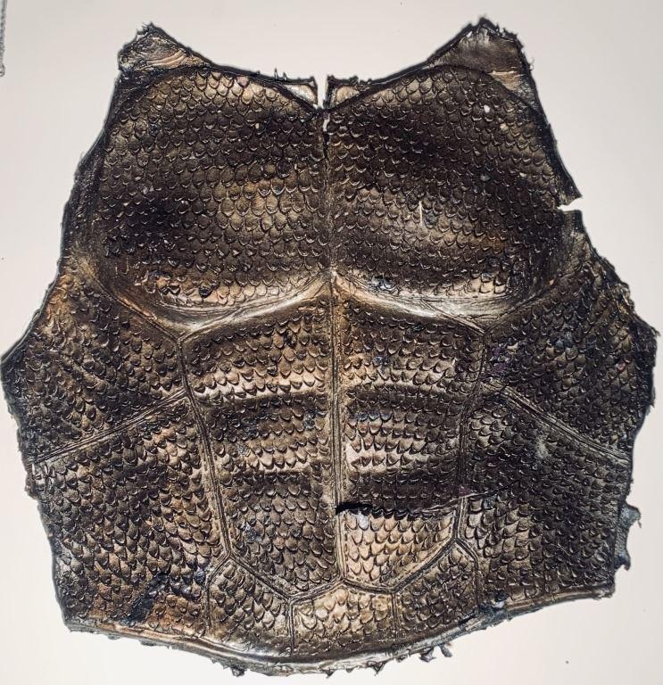 Aquaman (2018) - Aquaman (Jason Momoa) Chest Armor (1 of 2)