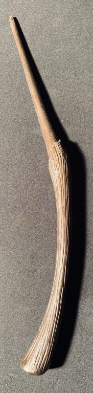 Harry Potter Franchise - Bellatrix Lestrange (Helena (1 of 3)