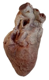 Grimm (2011-2017) - Prop Heart