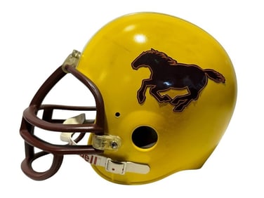 Life of the Party (2018) - Football Helmet