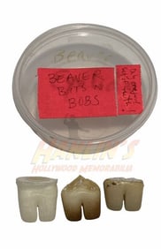 The Beaver (2011) - Beaver Parts