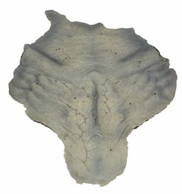 Underworld: Evolution (2006) - Viktor "Bill Nighy" Chest Prosthetic