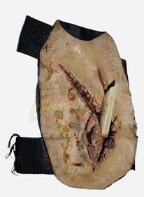 Underworld: Rise of the Lycans (2009) - Bloody Foam Wound