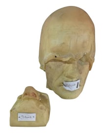 A Series of Unfortunate Events (2017-2019) - Count Olaf (Neil Patrick Harris) Bald Cap And Nose Appl