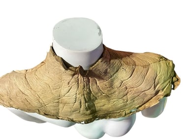 Alien 3 (1992) - Xenomorph Neck Piece