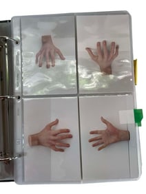 The New Addams Family (1998[x=#8211/]1999) - Large Continuity Folder