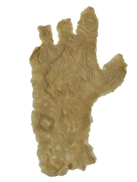 Freddy vs. Jason (2003) - Freddy (Robert Englund) Left Hand Appliance (1 of 2)