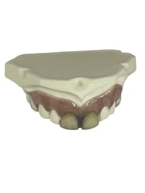 Alice in Wonderland (2010) - The Mad Hatter (Johnny Depp) Teeth Appliance