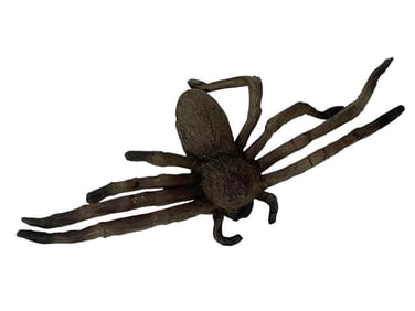 Arachnophobia (1990) - Spider