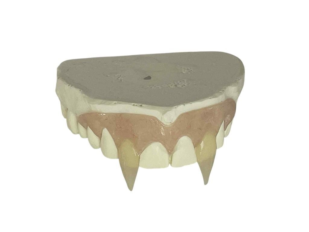 Dark Shadows (2012) - Barnabas (Johnny Depp) Teeth Appliance: Dark Shadows (2012) - Barnabas Collins (Johnny Depp) Teeth Appliance.Original top teeth appliance for Johnny Depp's character as Barnabas Collins, used in the production of the Tim Burton directed Got