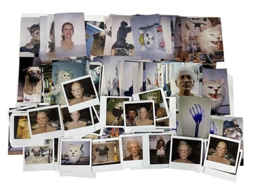 Cats & Dogs (2001) - 266 SFX Continuity Shots