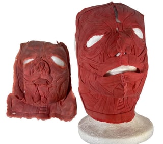 House of the Dead (2003) - Set Of 2 Zombie Appliances