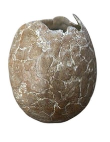 Land of the Lost (2009) - Sleestak Dinosaur Egg