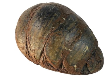 Mimic: Sentinel (2003) - King Judas Egg