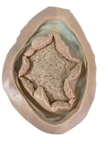 The Belko Experiment (2016) - Blownout Head Appliance (Unused) Lot A