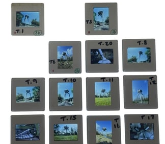 The Tripods (1984[x=#8211/]1985) - Set of 13 Slides