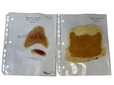 Wrong Turn 2: Dead End (2007) - Cannibal Family "Brother" (Clint Carleton) Face Appliances