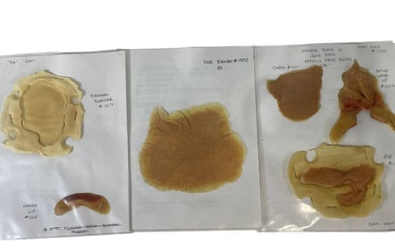 Wrong Turn 2: Dead End (2007) - Cannibal Family "Pa" (Ken Kirzinger) Face Appliances