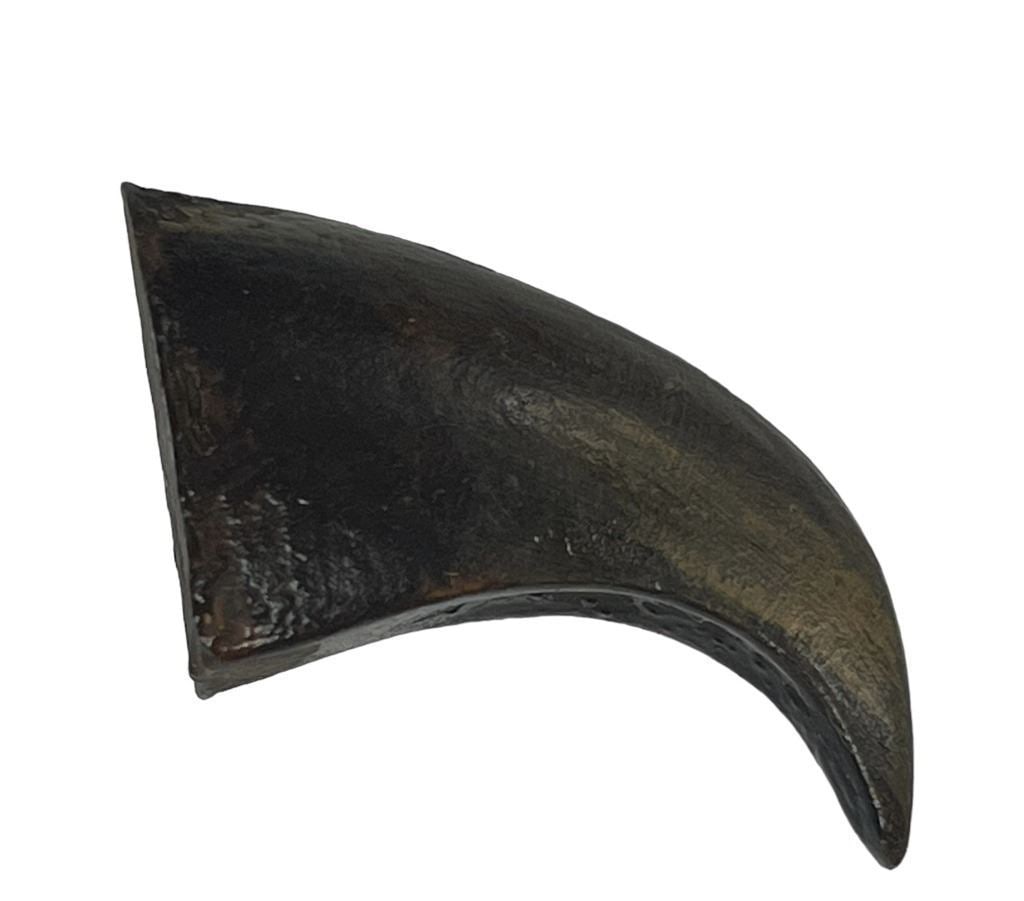 Beauty and the Beast (2017) - Beast Claw (Back Up) resin: Beauty and the Beast (2017) - Beast Claw (Back Up).Made of resin.Original back up claw made for the "Beast", played by Dan Stevens in the Bill Condon directed musical romantic fantasy film "Beauty and